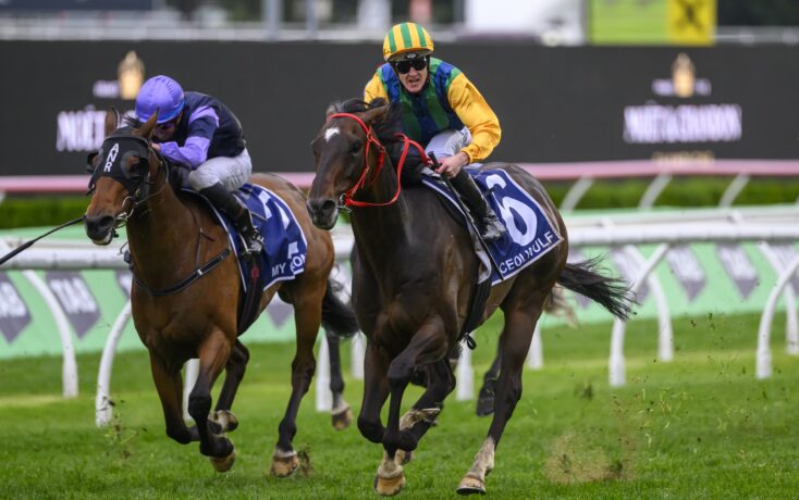 路的精妙传 路的精妙传